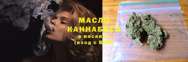 гидропоника Горнозаводск