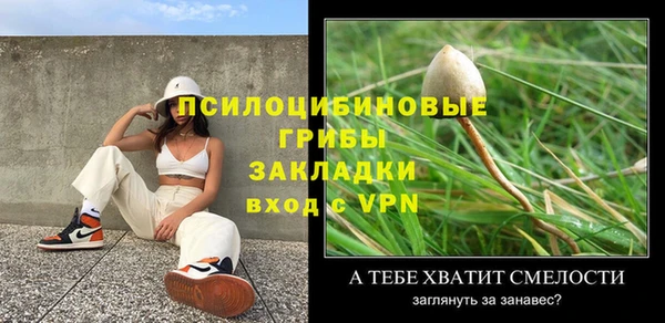 гидропоника Горнозаводск
