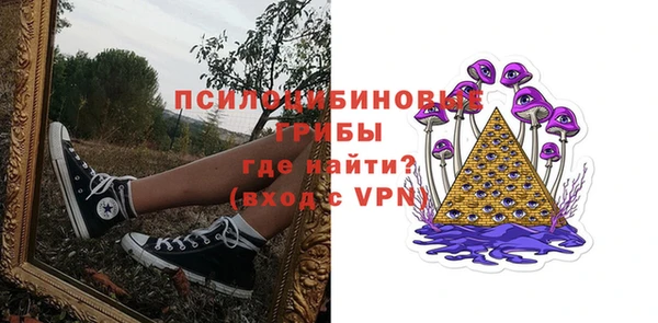 гидропоника Горнозаводск
