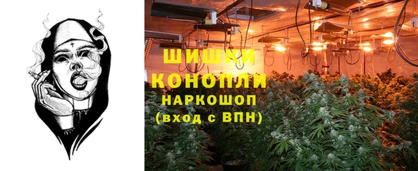 соль ск Горняк