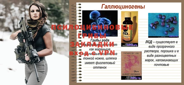 гидропоника Горнозаводск